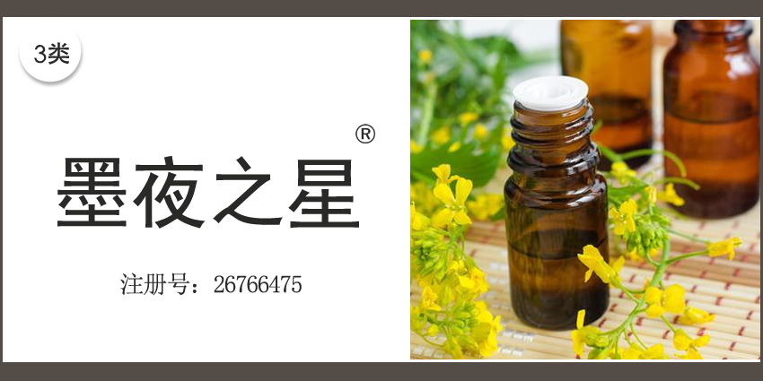 03類化妝日用